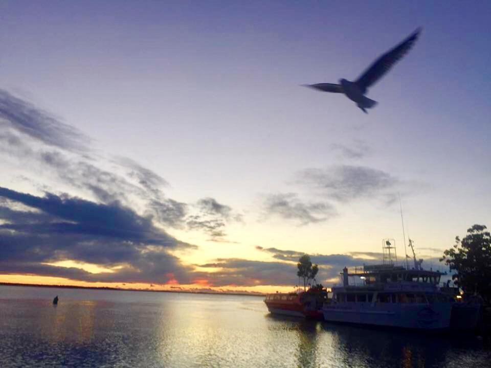 Huskisson Beach Escape Εξωτερικό φωτογραφία